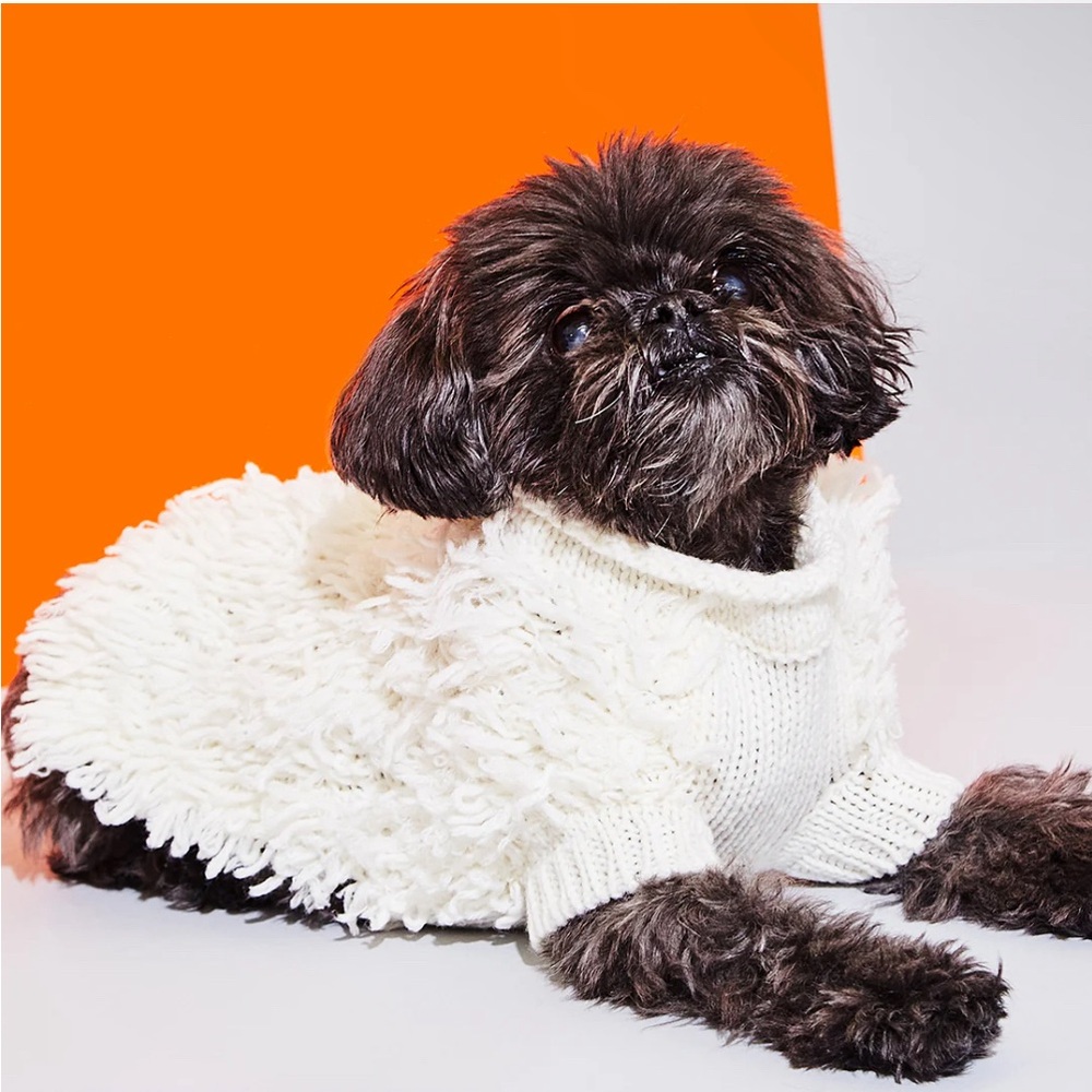 Ware of the Dog Small Hairy Hand Knit Dog Sweater NWT - Picture 2 of 15